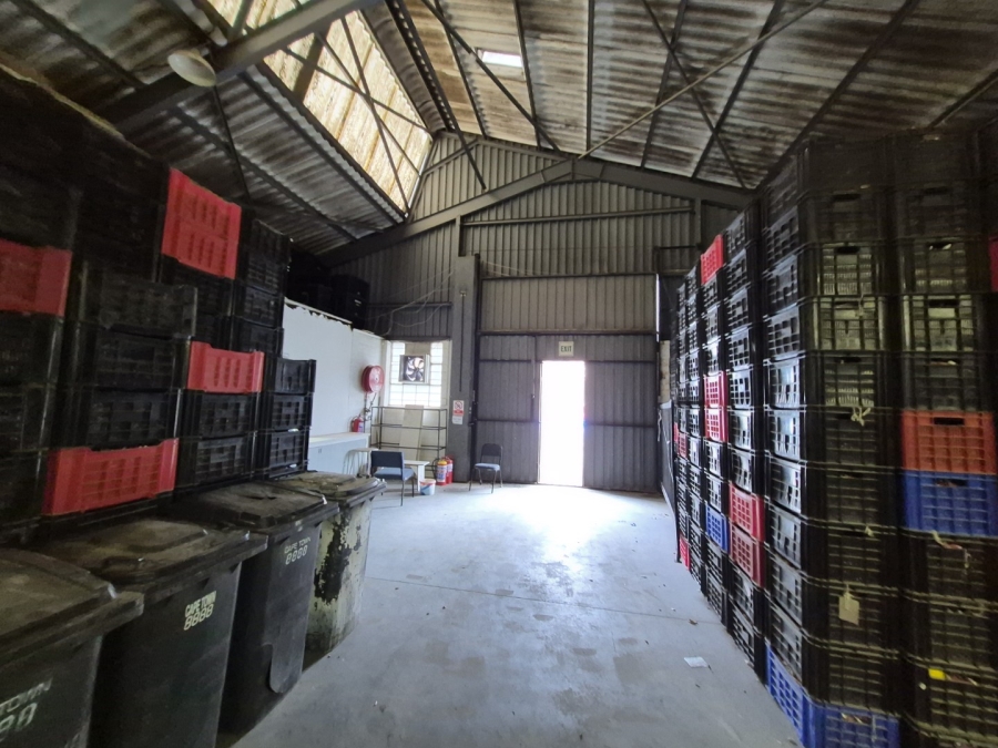 To Let Commercial Property for Rent in Gants Plaza Western Cape